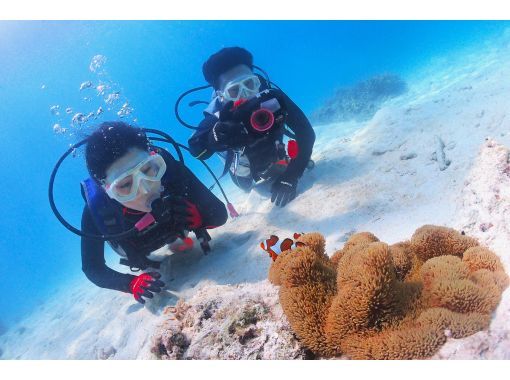 【宮古島】1日一組限定　ビーチ体験ダイビング＋星空フォト　デジカメレンタル無料！の画像