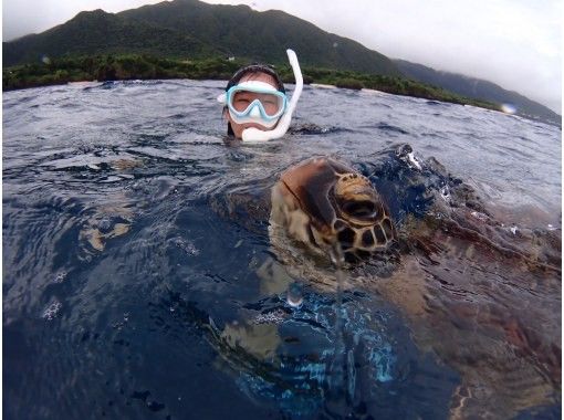 【沖縄・石垣島】海亀と優雅に泳ぐシュノーケルツアーの画像