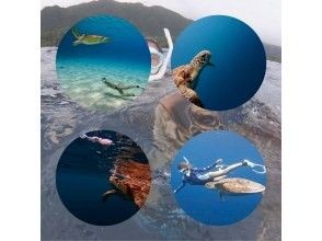 【沖縄・石垣島唯一無二】海亀と泳ぐ感動シュノーケル&times;バレルサウナ。海あがりに極上のととのいを味わう特別体験ツアー。