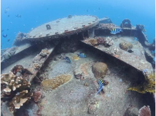 ＼那覇から送迎付きでお得に潜ろう☆／砂辺　2ビーチファンダイビング　スキル練習できます！の画像