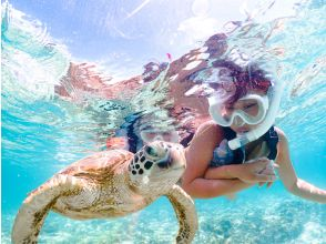 [Miyakojima] Private tour for one group ★ Snorkeling with sea turtles! Free photo data included!
