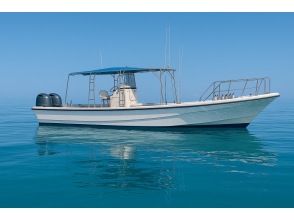 [Okinawa, Onna Village] "Escape the crowds and head to the ocean. A private diving cruise just for you"