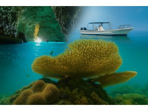 [Okinawa, Onna Village] "Escape the crowds and head to the ocean. A private diving cruise just for you" ★2-hour course★