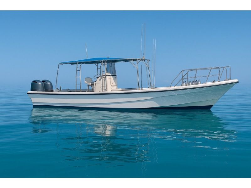 [Okinawa, Onna Village] "Escape the crowds and head to the ocean. A private diving cruise just for you"の紹介画像