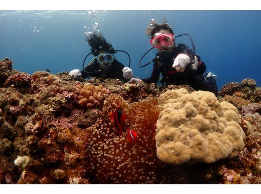 [Okinawa, Miyakojima] Boat Diving Experience (1 dive departing in the afternoon) - Enjoy diving in the blue waters of Miyako! Underwater photos included! ◆Comfortable on a large diving boat◆の画像