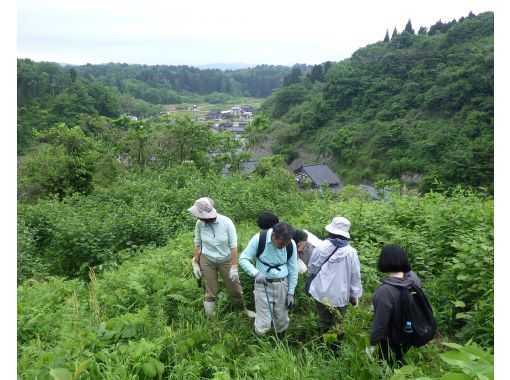 【石川・津幡】いのちかがやく里山づくり～挑戦1吉倉の山道の再生の画像