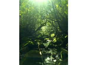 屋久島ガイド21EC-K(Yakushima guide 21EC-K) Reservations・Access