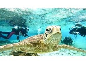 [Shizuoka, Yawatano] Beginners welcome! 5 minutes by car from Izukogen Station (trial diving)