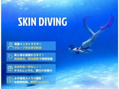 전세 플랜 · 초보자 용 · 스킨 다이빙 (맨 잠수) 코스 【사진 · 동영상 촬영 무료 ☆ 먹이 체험 포함】 나고 · 북부 · 나키 진 · 얀 바루の画像