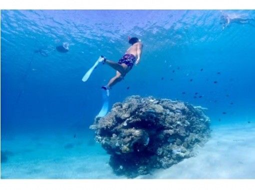貸切プラン・初心者向け・スキンダイビング（素潜り）コース【写真・動画撮影無料☆餌付け体験付き】名護・北部・今帰仁・やんばるの画像