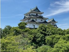 名城　和歌山城を巡る　ベテランガイドの解説を聞きながらたっぷり２時間　
