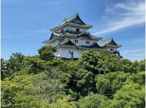 名城　和歌山城を巡る　ベテランガイドの解説を聞きながらたっぷり２時間　の画像