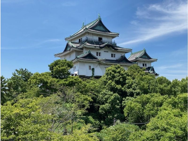 名城　和歌山城を巡る　ベテランガイドの解説を聞きながらたっぷり２時間　の紹介画像