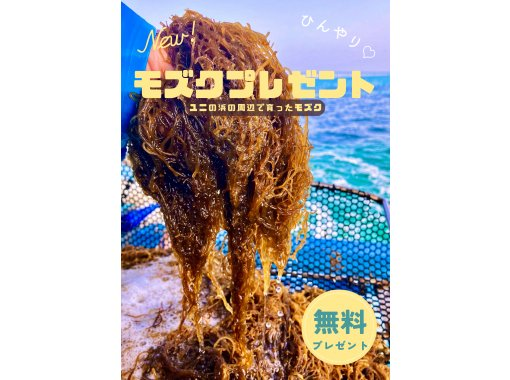 【宮古島】船で行くユニの浜ツアー！当日予約歓迎♪ 久松で生まれ育った船長によるツアー ！プロカメラマンによるドローン撮影も♪♪の画像