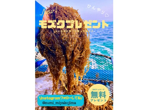 【沖縄・宮古島】【最安値】船で行くユニの浜ツアー！当日予約歓迎♪ 久松で生まれ育った船長によるツアー ！プロカメラマンによるドローン撮影も♪の画像