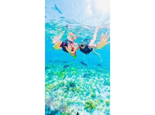 【沖縄・海中道路】完全プライベート！無人島沖シュノーケルツアー☆(5歳以下無料)の画像