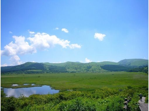 【長野・霧ヶ峰】《霧ヶ峰・プライベートガイド2時間》専門ガイドと歩く八島湿原～ご希望の日時でご案内♪おひとり様・ファミリー大歓迎！の画像