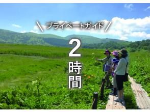 【長野・霧ヶ峰】ガイドと歩く八島湿原プライベート2時間～ご希望の日時でご案内♪おひとり様・ファミリー大歓迎！