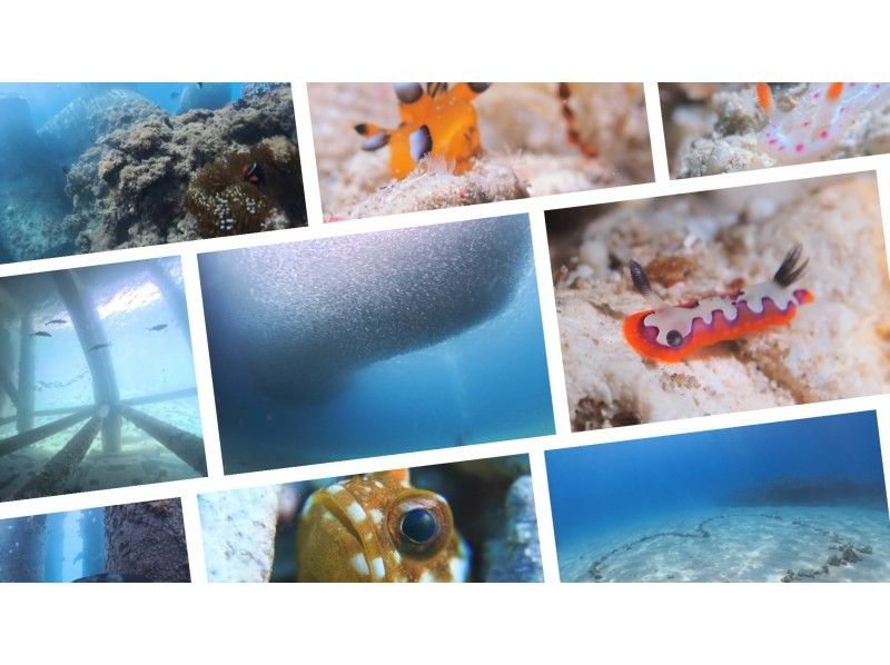 【北海道・SUP体験】透明度の高い支笏湖の湖面をクルージング！SUP体験（半日コース）の画像