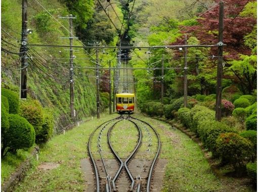 往復ケーブルカー乗車！ 高尾山180分滞在＆「国営昭和記念公園のコスモス」鑑賞バスツアー　～ホテルランチブッフェ付き【029029-1431の画像
