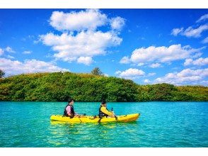【沖縄・宮古島】子どもも大興奮！マングローブの森を親子でカヤック探検♪