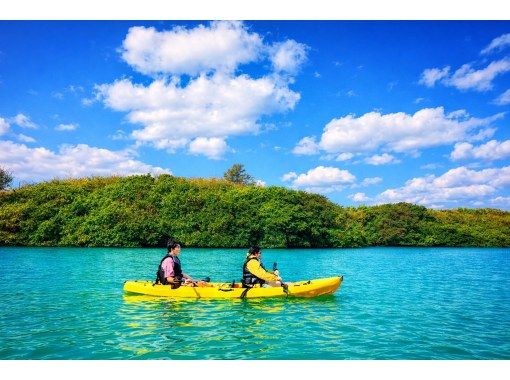 【沖縄・宮古島】子どもも大興奮！マングローブの森を親子でカヤック探検♪の画像