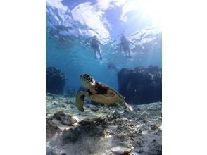 【沖縄・宮古島】宮古ブルーでシュノーケリング。ウミガメやクマノミにも会える！！元水泳部が担当する安心ツアー。写真データ無料。当日予約OK