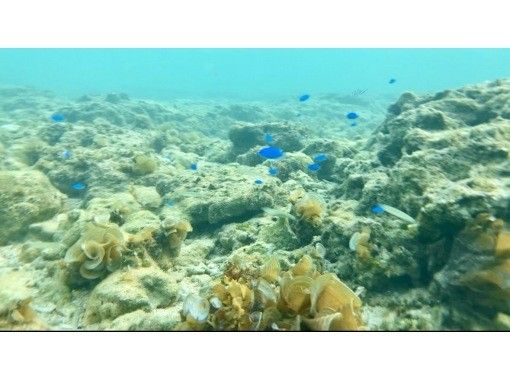 [Okinawa Prefecture] All-inclusive rental! Special adventure!の画像