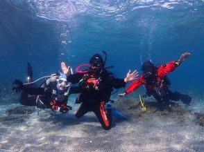 【神奈川・三浦半島ドライスーツ無料！】『体験ダイビングプログラム！午後の部』神奈川・三浦半島　水中のお魚とお友達になろう！