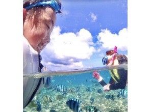 年齢制限なし♪貸切プラン【写真動画撮影・餌付け体験・タオル付】シュノーケリング【ジャングリア、美ら海近く】北部.名護.本部.瀬底島