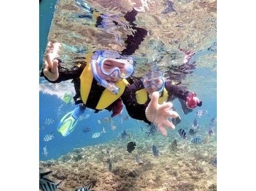 No age restrictions♪ Private plan [Photo/video shooting, feeding experience, towels included] Snorkeling [Near Junglia, Churaumi] Northern, Nago, Motobu, Sesoko Islandの画像