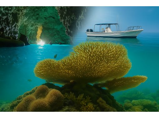 [โอกินาว่า หมู่บ้านอนนะ] ★หรูหราไร้ฝูงชน★ทัวร์เรือดำน้ำส่วนตัวเช่าเหมาลำที่โอกินาว่า★หลักสูตร 3 ชั่วโมง★の画像