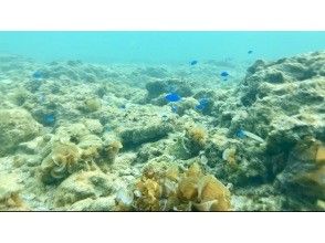 【沖縄県】自分に還る 無人島カヤック&瞑想リトリート体験