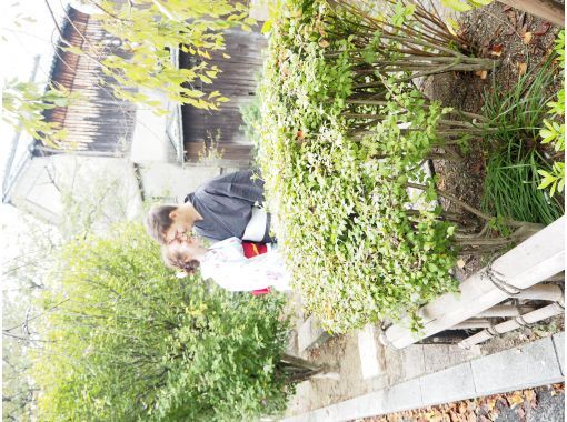 [Osaka, Hirakata City] Wear a yukata and take it home! Copy of Hirakata classroomの画像