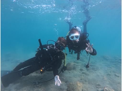 [Wakayama / Kushimoto Experience Diving] Families and beginners welcome! Experience diving in the sea of Kushimoto (participants from age 10)の画像