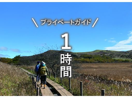 【長野・霧ヶ峰】ガイドと歩く八島湿原 プライベート1時間~ご希望の日時でご案内♪おひとり様・ファミリー大歓迎! 【長野・霧ヶ峰】ガイドと歩く八島湿原 プライベート1時間~ご希望の日時でご案内♪おひとり様・ファミリー大歓迎!