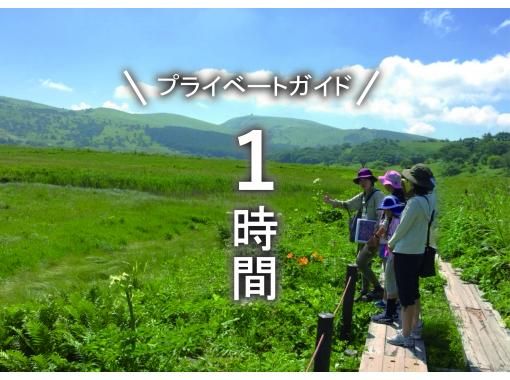【長野・霧ヶ峰】ガイドと歩く八島湿原 プライベート1時間～ご希望の日時でご案内♪おひとり様・ファミリー大歓迎！の画像