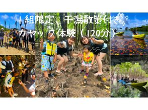 【沖縄・石垣島】マングローブカヌー＆干潟散策＜1組限定貸切プラン＞