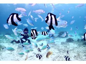 【沖縄・宮古島】ビーチで体験ダイビング（2DIVE）｜１組限定貸切ツアー｜半日コース｜GoProレンタル無料｜器材全て込み！