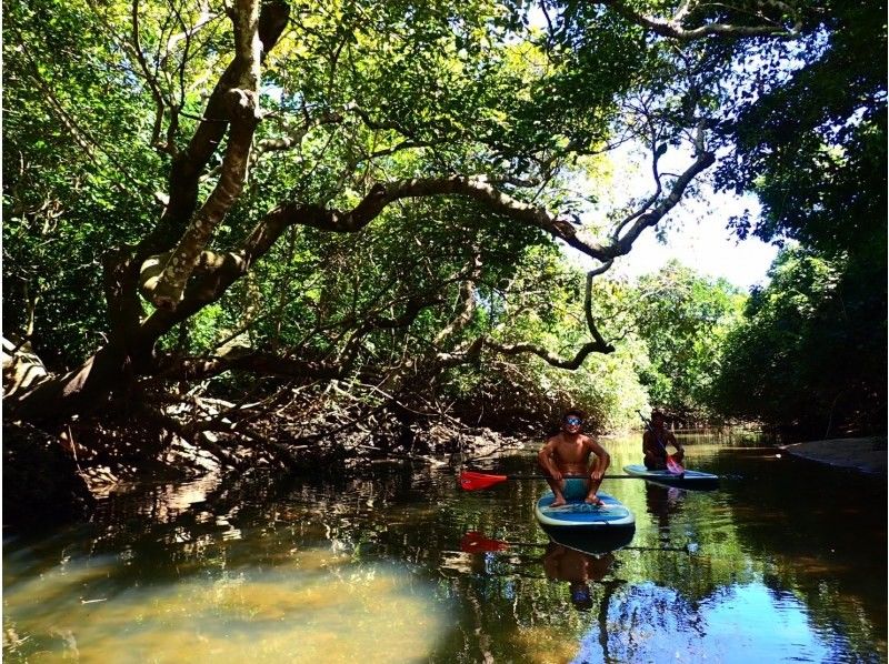 Mangrove SUP in a hidden area [3-hour course: A great SUP adventure in a river surrounded by mangroves, a natural monument]の紹介画像