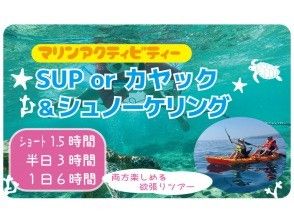 【沖縄・本部町/今帰仁村】シーカヤック＆シュノーケル！ライトな90分ツアー！