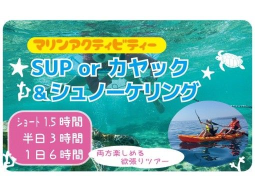 【沖縄・本部町/今帰仁村】シーカヤック＆シュノーケル！ライトな90分ツアー！の画像