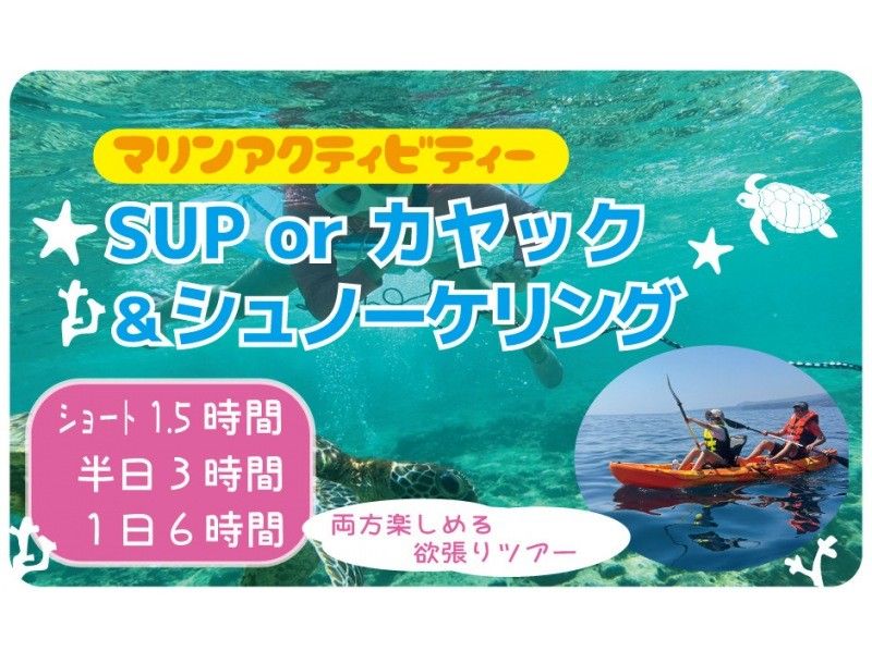 【沖縄・本部町/今帰仁村】シーカヤック＆シュノーケル！ライトな90分ツアー！の紹介画像