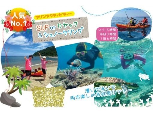 【沖縄・本部町/今帰仁村】シーカヤック＆シュノーケル！半日ツアー！の画像