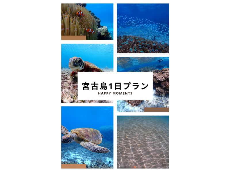 【宮古島/1日プラン】貸切シュノーケリング満喫プラン♪４ポイントまでok！送迎付き！の紹介画像