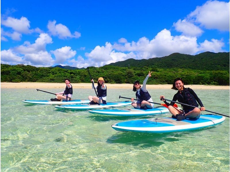 SUP in the Crystal Blue Sea of Ishigaki Islandの紹介画像