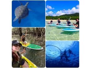 SUPと青の洞窟シュノーケリング[１日7時間コース ☆送迎無料！写真データ無料！石垣島を遊び尽くせ 大満足ツアー]