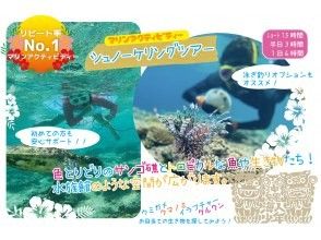 【沖縄・本部町/今帰仁村】シュノーケル！半日ツアー！