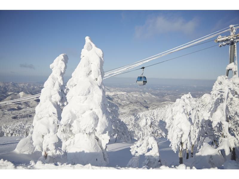 [Akita/Kitaakita] Ice viewing experience @Ani Ski Resortの紹介画像