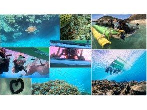 【沖縄・渡嘉敷島】ボードシュノーケルツアー・美しいサンゴが残る慶良間諸島の渡嘉志久ビーチでシュノーケル体験（ランチ付きプラン）